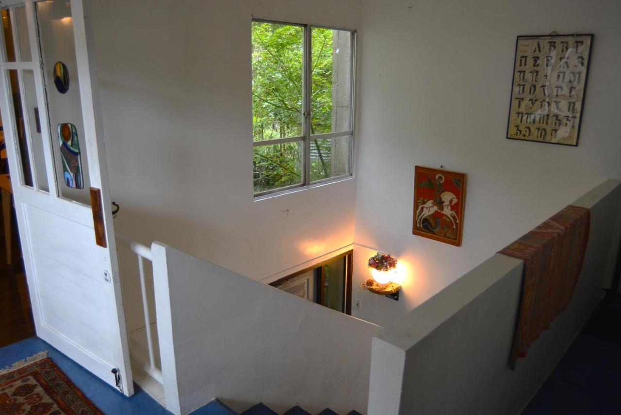 Guest house Mori No Yado Hakone